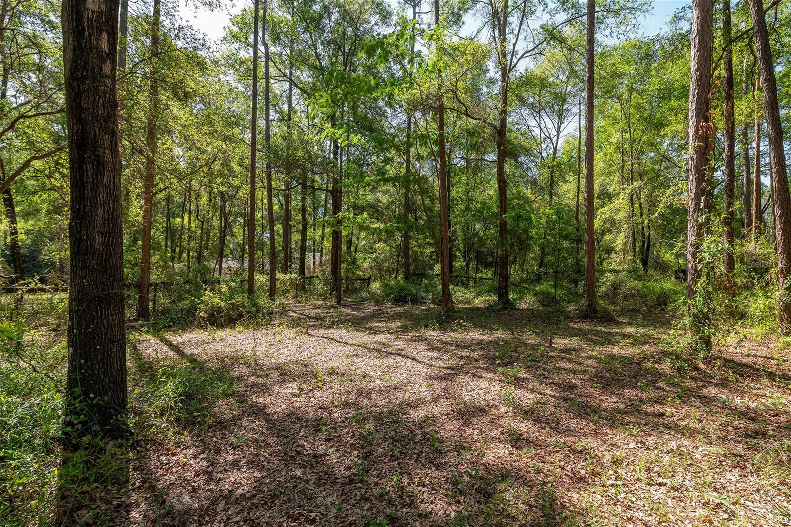 KANAPAHA PINES - Residential