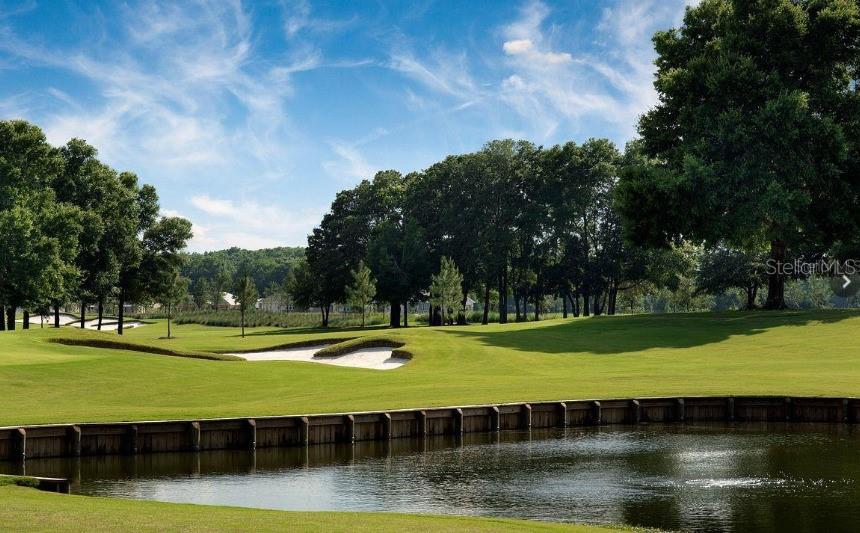 OCALA PRESERVE PH 5 - Residential