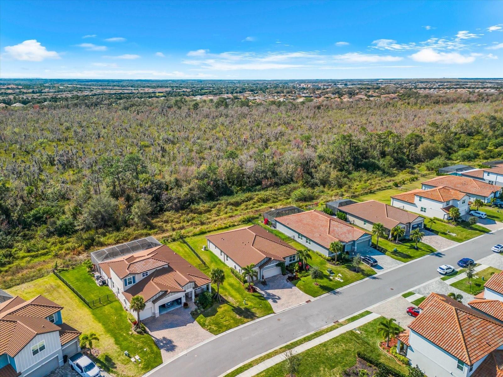 SAVANNA AT LAKEWOOD RANCH PH IV SUBPH 4A - Residential