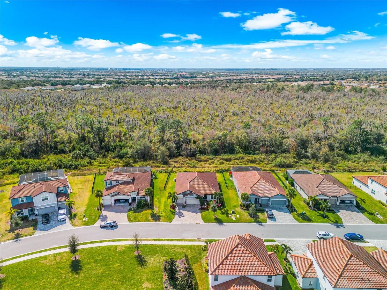 SAVANNA AT LAKEWOOD RANCH PH IV SUBPH 4A - Residential