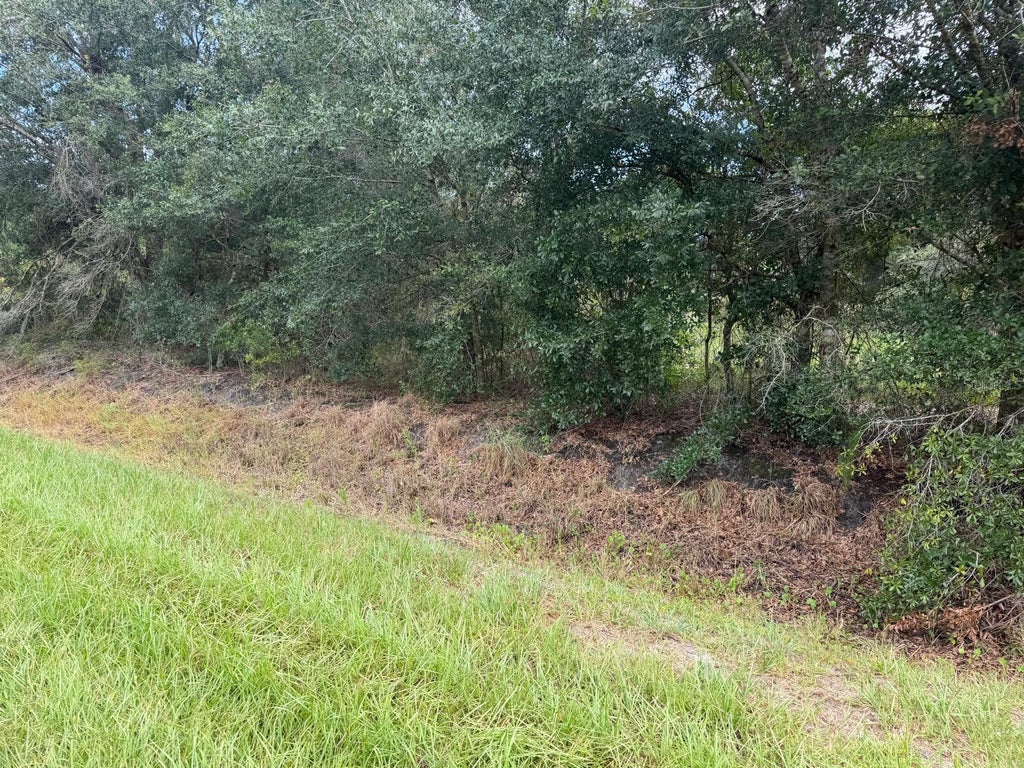 Photo of 21971 NW 260th Street, Okeechobee, FL 34972 (MLS # C7530135)