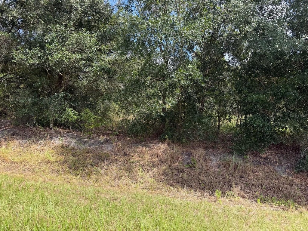 Photo of 21971 NW 260th Street, Okeechobee, FL 34972 (MLS # C7530135)