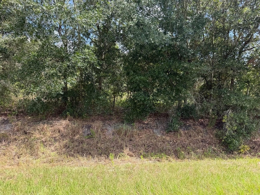 Photo of 21971 NW 260th Street, Okeechobee, FL 34972 (MLS # C7530135)