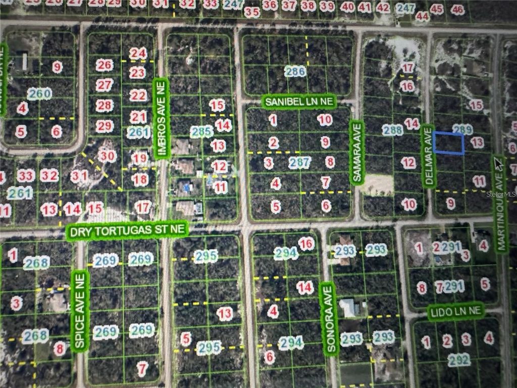 Photo of 110 Delmar Avenue NE, Lake Placid, FL 33852 (MLS # O6421021)