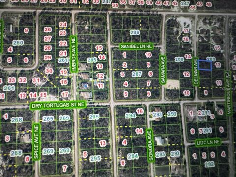 Photo of 110 Delmar Avenue NE, Lake Placid, FL 33852 (MLS # O6421021)