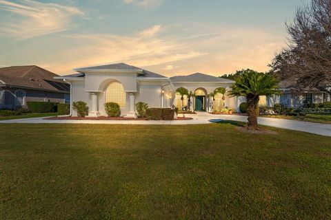 A home in MOUNT DORA