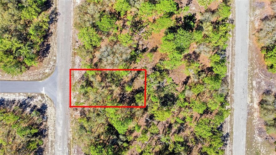 Discover the potential of this beautiful unimproved parcel located at 1877 W Pendleton St, offering a peaceful setting with the freedom to create exactly what you envision. Zoned for residential use, this property provides flexibility for building your dream home or investment opportunity, all with no HOA restrictions—giving you the liberty to bring your boats, RVs, and outdoor toys without limitation. Situated on a quiet gravel road, you’ll enjoy added privacy and a more rural, laid-back atmosphere while still being within reach of everyday conveniences. Located in a non-flood zone, this lot offers added peace of mind when planning your build. As raw land, utilities will need to be established, with public water and septic typically required in the area, along with electric nearby for connection. The surrounding community is known for its natural beauty, featuring nearby lakes, parks, and outdoor recreation opportunities, making it ideal for those who enjoy Florida’s Nature Coast lifestyle. Whether you're looking to build now or invest for the future, this property offers a rare combination of tranquility, flexibility, and opportunity in a growing area.