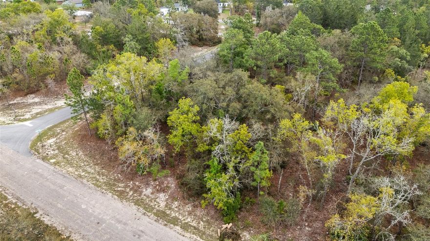 Discover the potential of this beautiful unimproved parcel located at 1877 W Pendleton St, offering a peaceful setting with the freedom to create exactly what you envision. Zoned for residential use, this property provides flexibility for building your dream home or investment opportunity, all with no HOA restrictions—giving you the liberty to bring your boats, RVs, and outdoor toys without limitation. Situated on a quiet gravel road, you’ll enjoy added privacy and a more rural, laid-back atmosphere while still being within reach of everyday conveniences. Located in a non-flood zone, this lot offers added peace of mind when planning your build. As raw land, utilities will need to be established, with public water and septic typically required in the area, along with electric nearby for connection. The surrounding community is known for its natural beauty, featuring nearby lakes, parks, and outdoor recreation opportunities, making it ideal for those who enjoy Florida’s Nature Coast lifestyle. Whether you're looking to build now or invest for the future, this property offers a rare combination of tranquility, flexibility, and opportunity in a growing area.