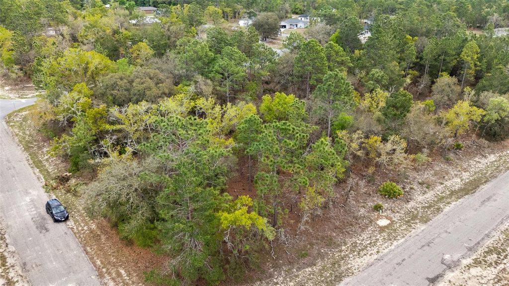 Photo of 1877 W Pendleton Street, Dunnellon, FL 34434 (MLS # TB8493623)