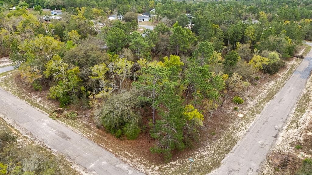 Photo of 1877 W Pendleton Street, Dunnellon, FL 34434 (MLS # TB8493623)