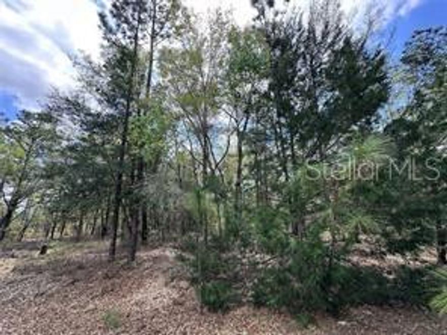 1/4 ACRE (mol) BUILDING LOT ON WILLISTON HIGHLANDS & COUNTRY CLUB ESTATES. Own a piece of Florida's countryside with this residential lot in North Central Florid, set ion a peaceful and scenic area primed for future growth. Location: Levy County, Williston-Easy access to major highways, nearby towns, Gainesville, Dunnellon, and Ocala, and outdoor recreational areas. Future Potential: Situated in an area planned for future development, ideal for investment or residential use. Scenic & Serene: Enjoy the beauty of Florida's natural landscape, with quiet country living, natural springs water, horse farms, and small country towns yet close to modern convinces. No HOA, no flood zone and no time limit to build. Great for investors, future home builders or nature lovers looking for an affordable lot in a growing region. Don't miss this opportunity to own in an area with exciting future potential!