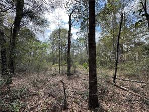 WILLISTON HYLNDS GOLF & C CLUB ESTATE - Land