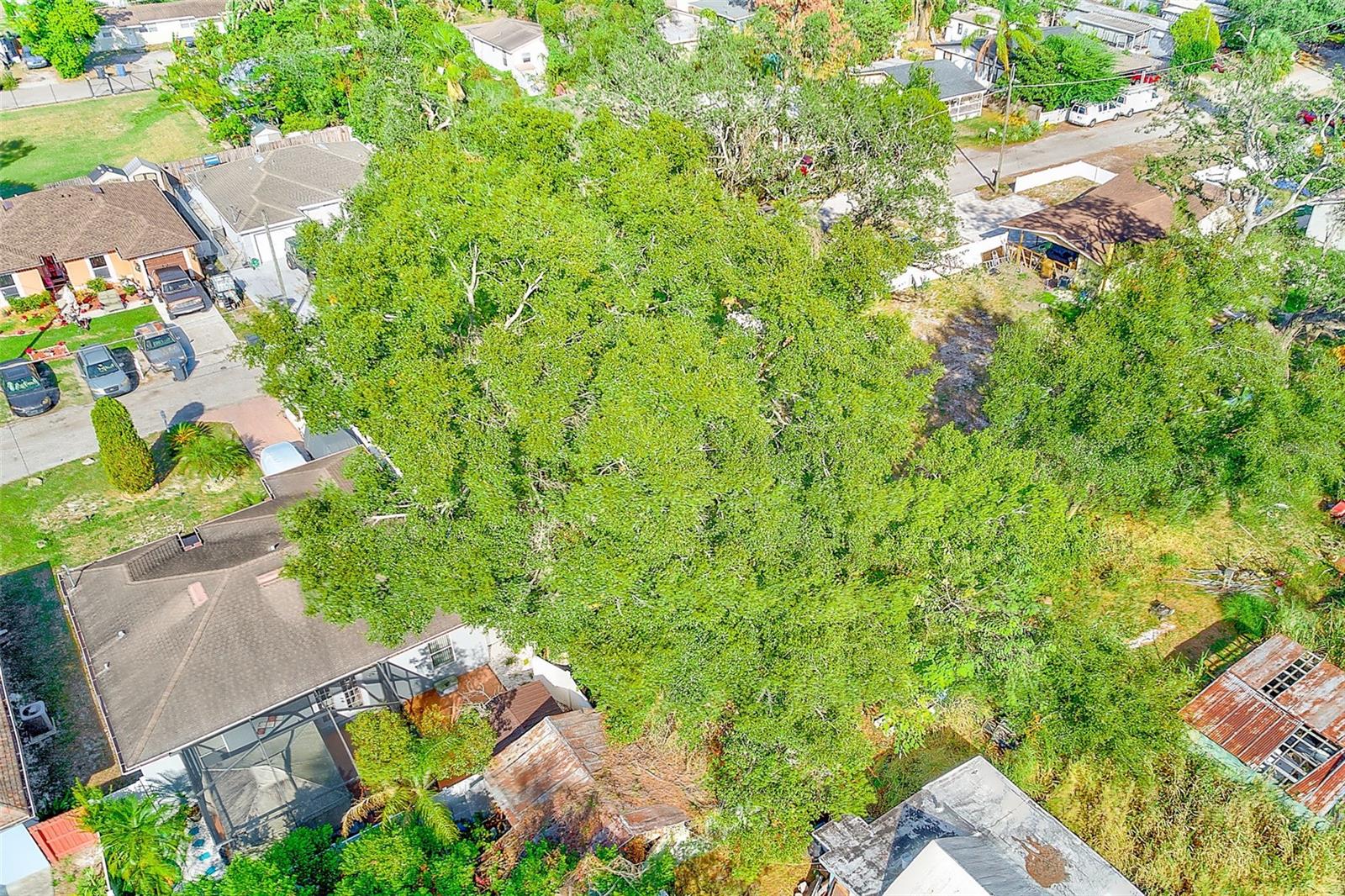 INGLEWOOD PARK REV MAP OF - Land