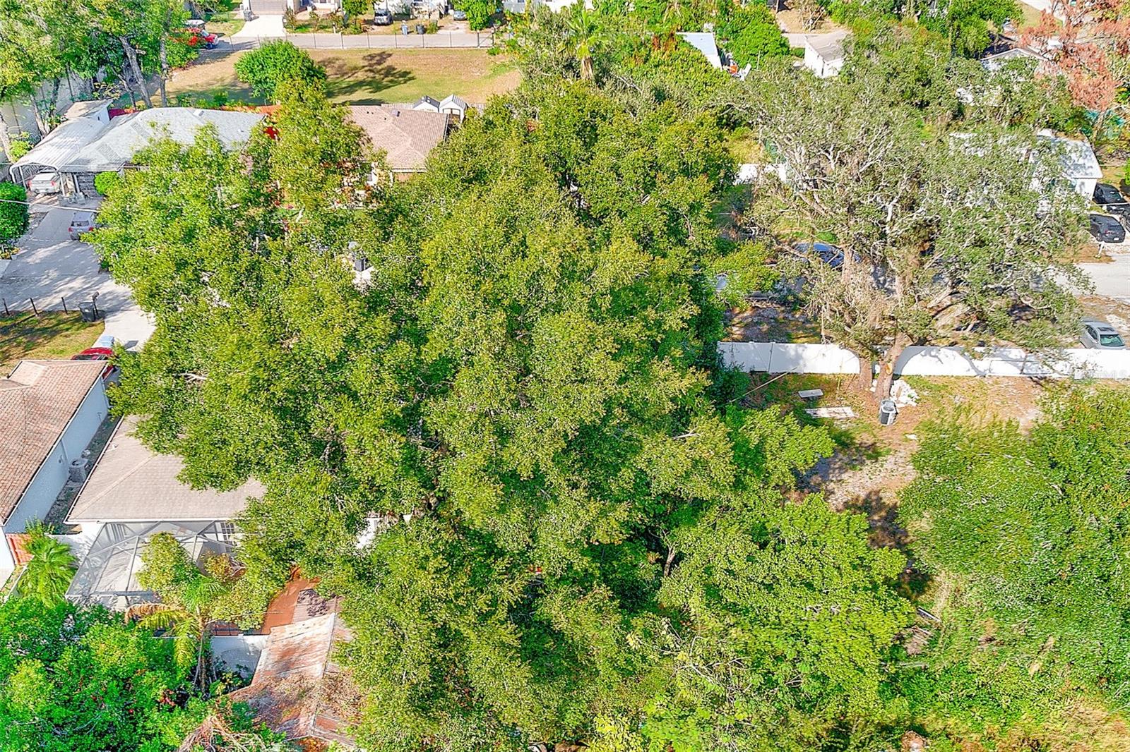 INGLEWOOD PARK REV MAP OF - Land