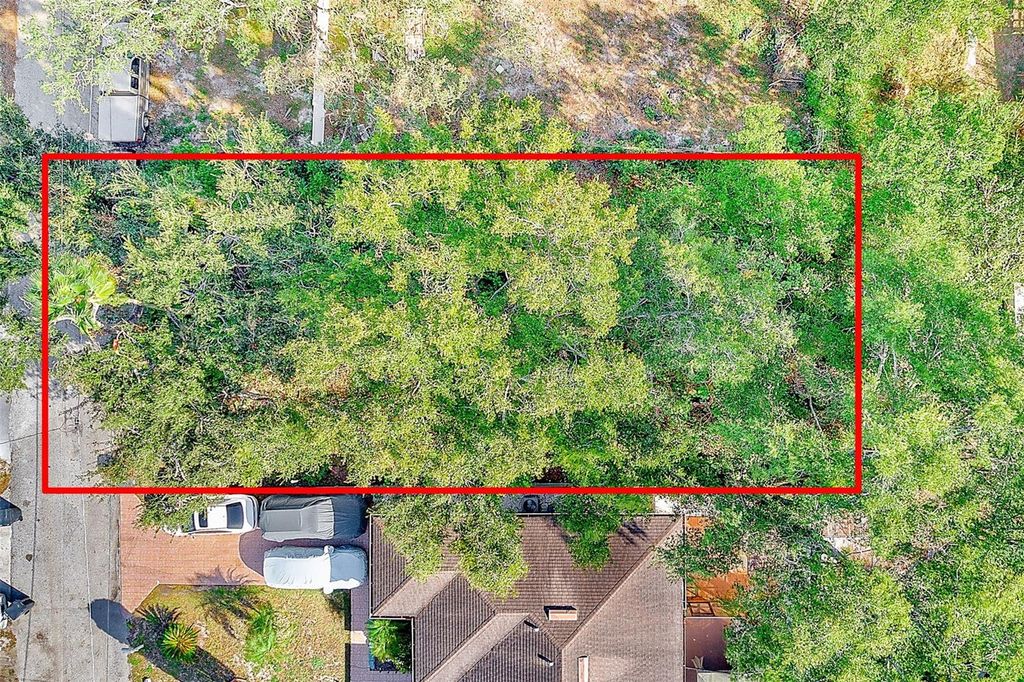 Photo of 703 Hoffman Boulevard, Tampa, FL 33612 (MLS # TB8458070)