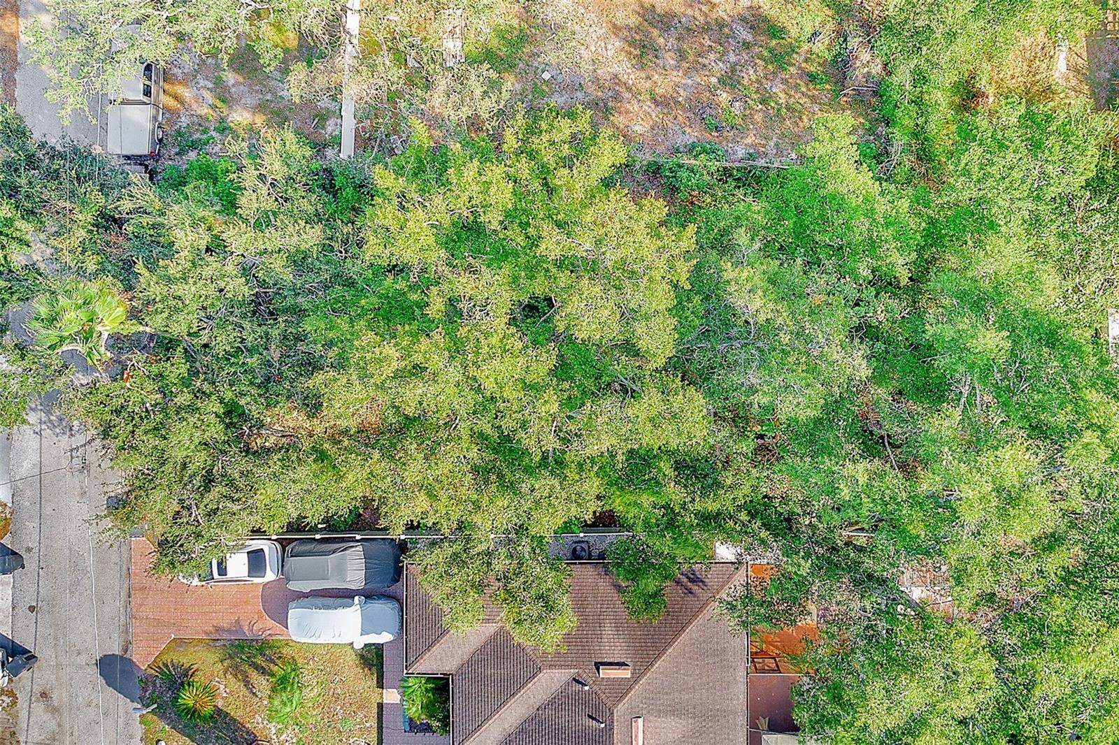 INGLEWOOD PARK REV MAP OF - Land