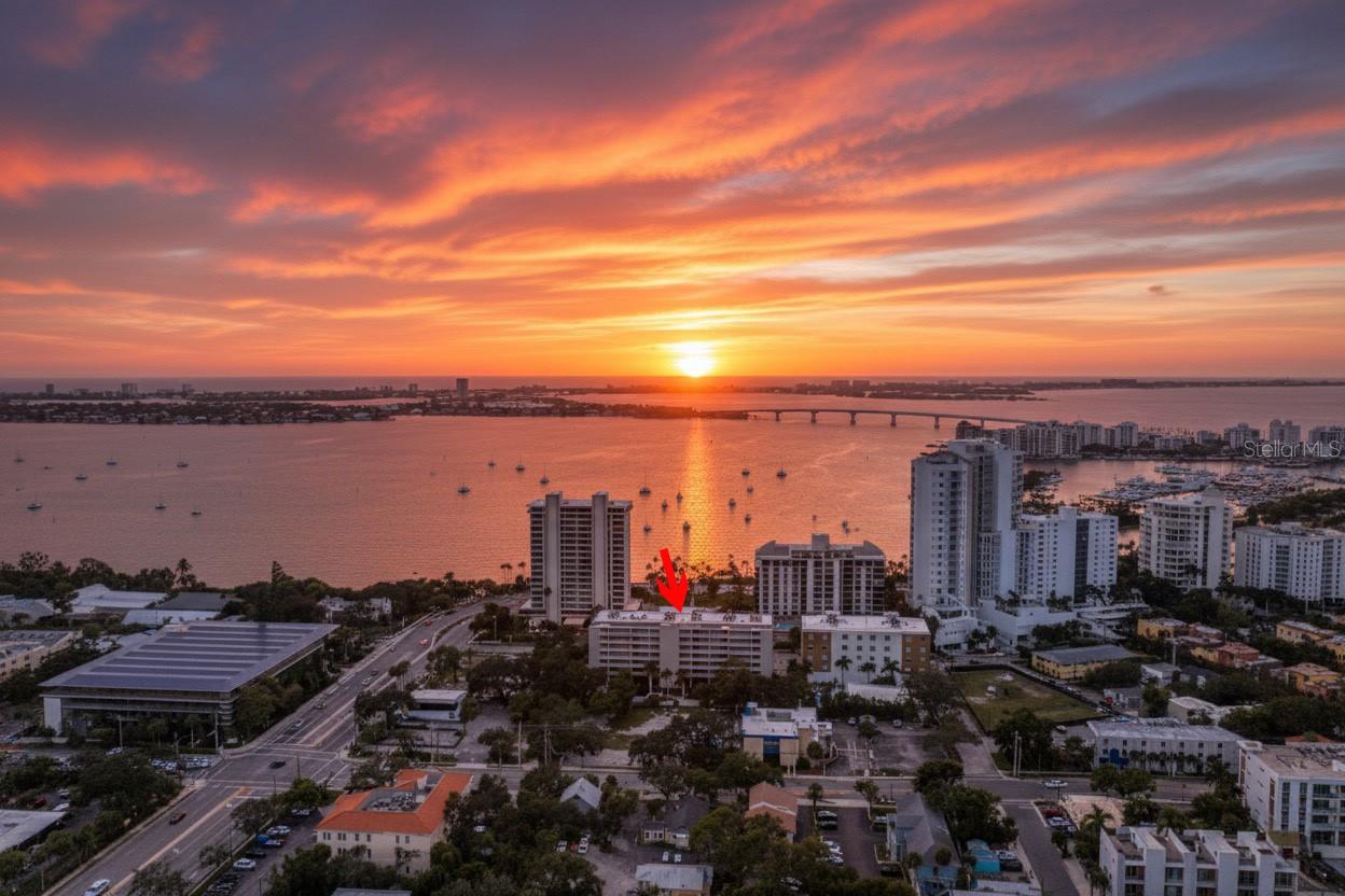 PALM PLACE - Residential