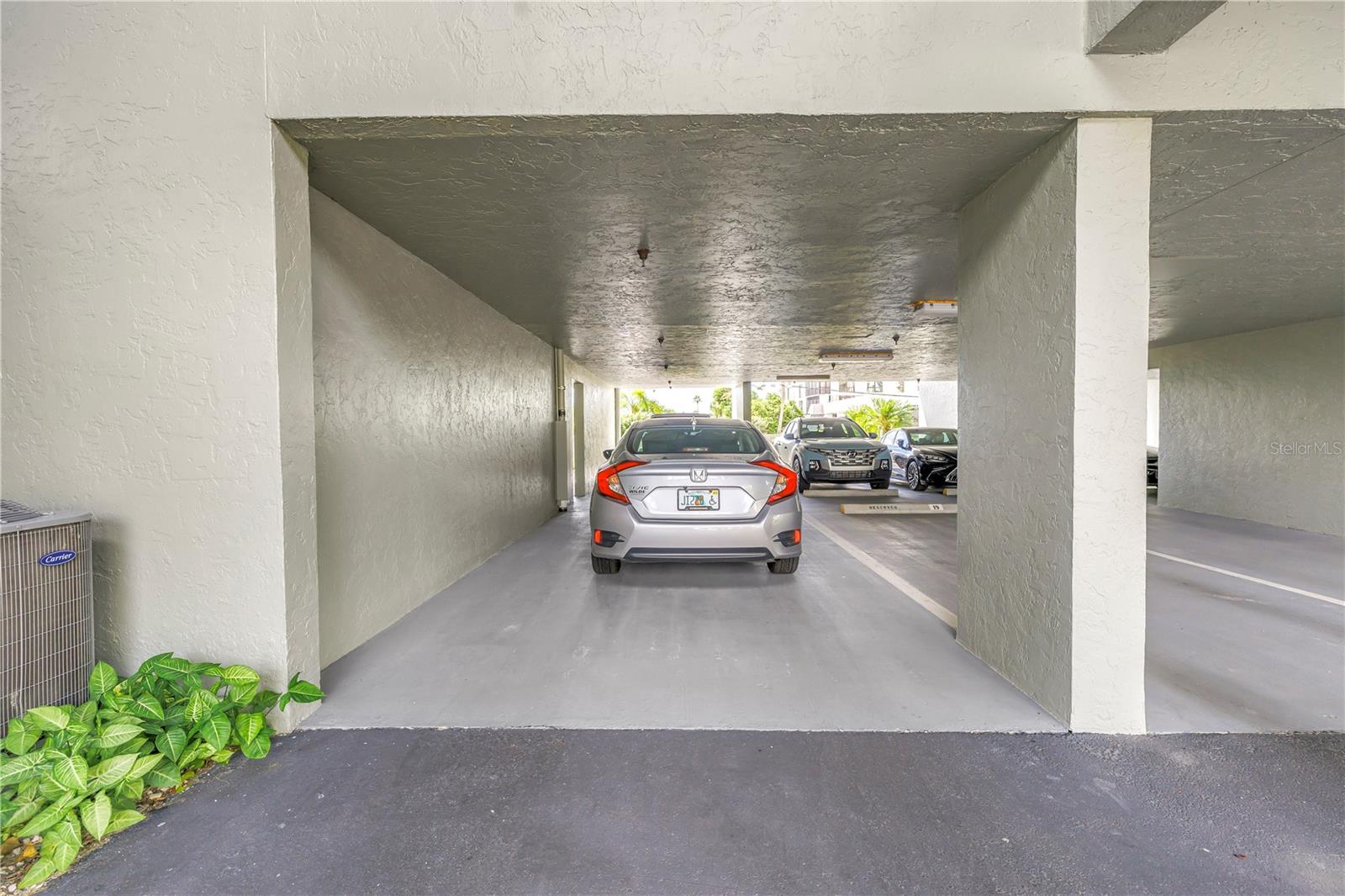 PALM PLACE - Residential