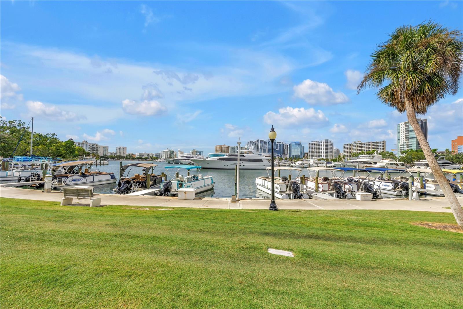 PALM PLACE - Residential