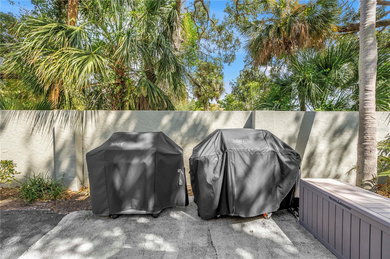 PALM PLACE - Residential