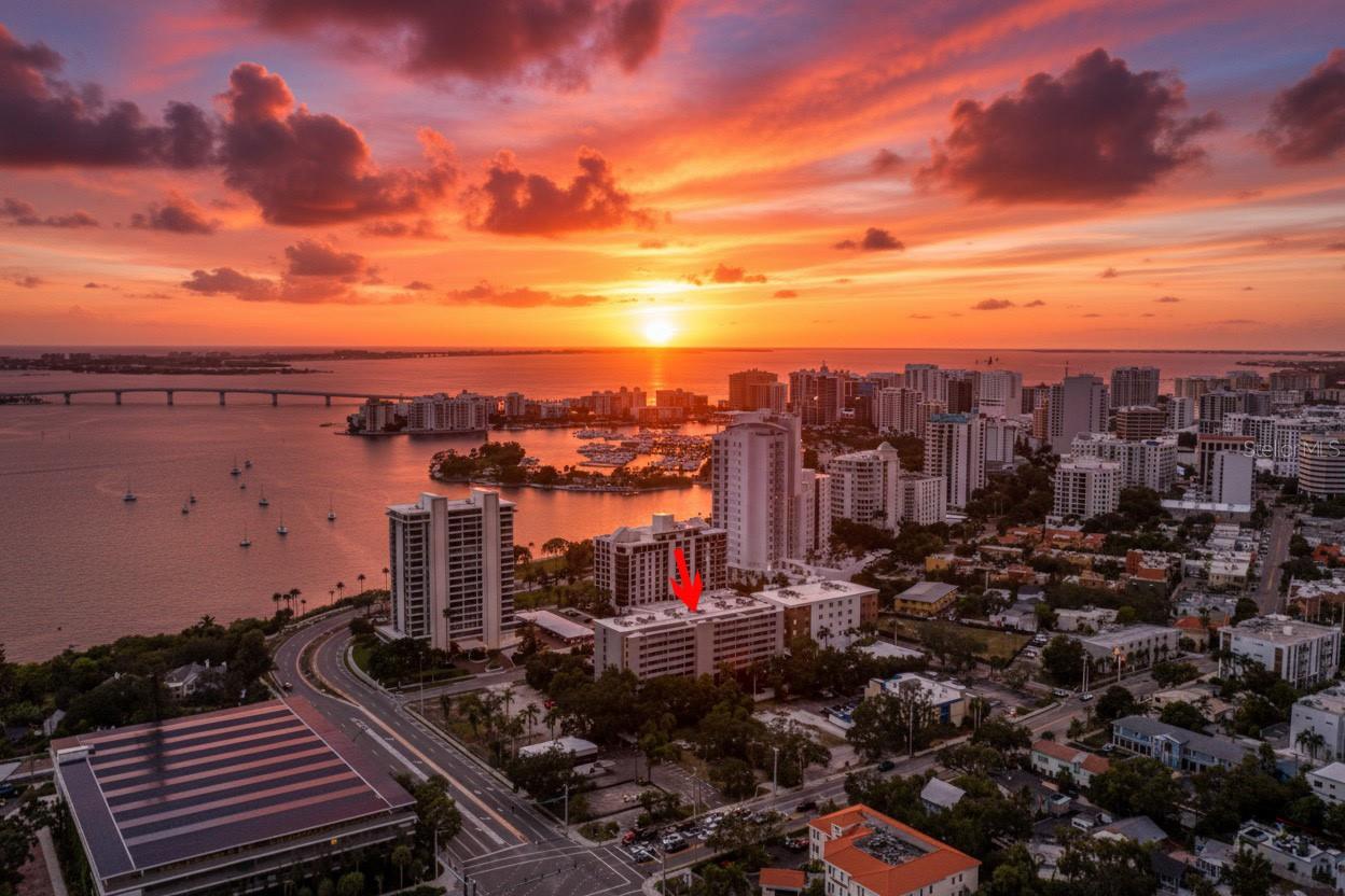 PALM PLACE - Residential