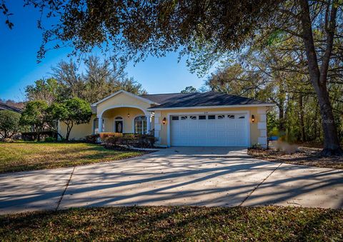 Photo of 814 Brantenburg Way, Lutz, FL 33548 (MLS # TB8480308)