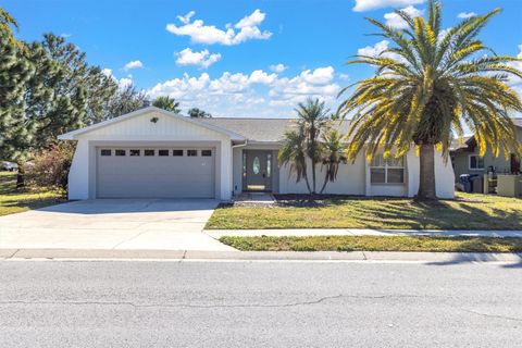 A home in PORT RICHEY