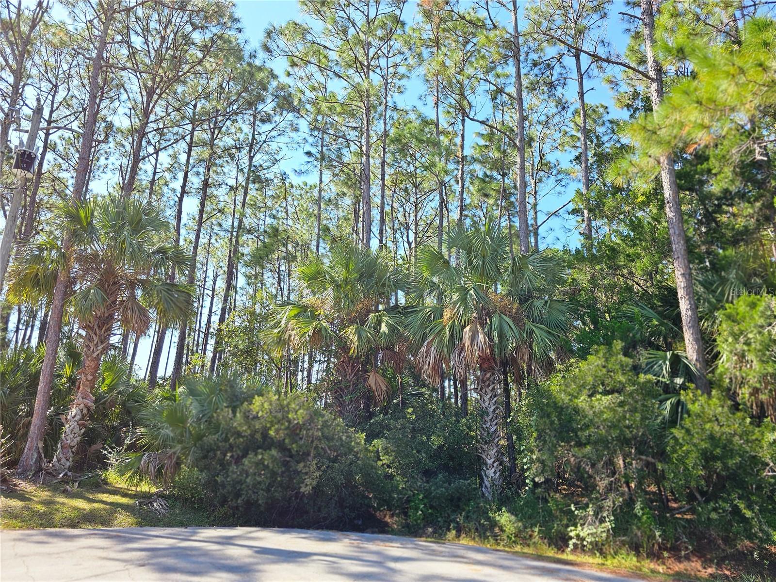 PALM COAST SEC 30 - Land