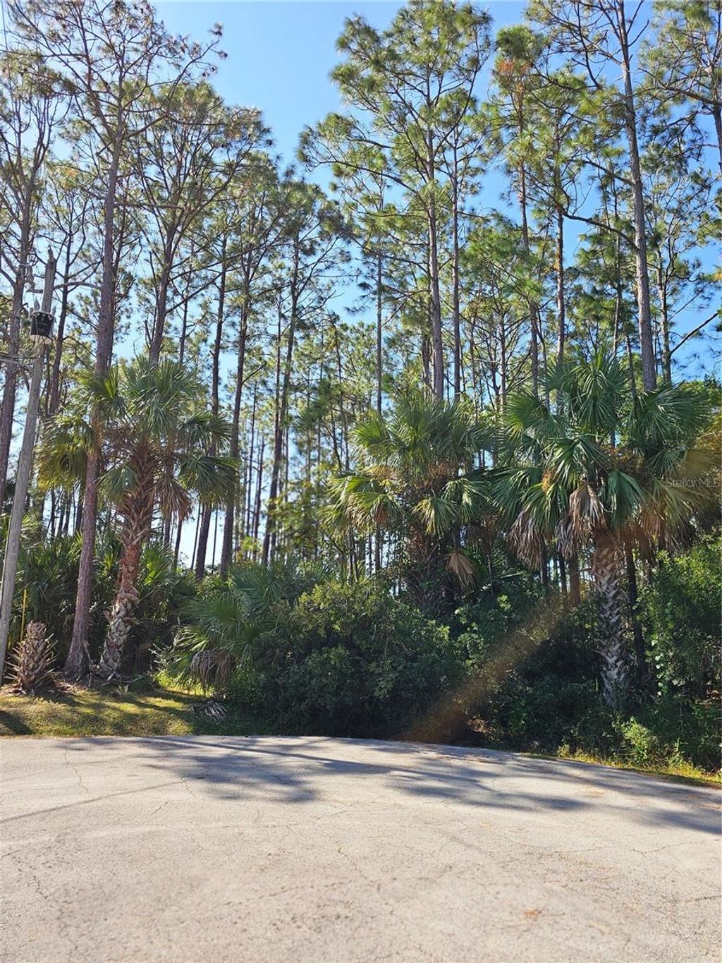 Photo of 12 Ramsgate Place, Palm Coast, FL 32164 (MLS # FC313876)