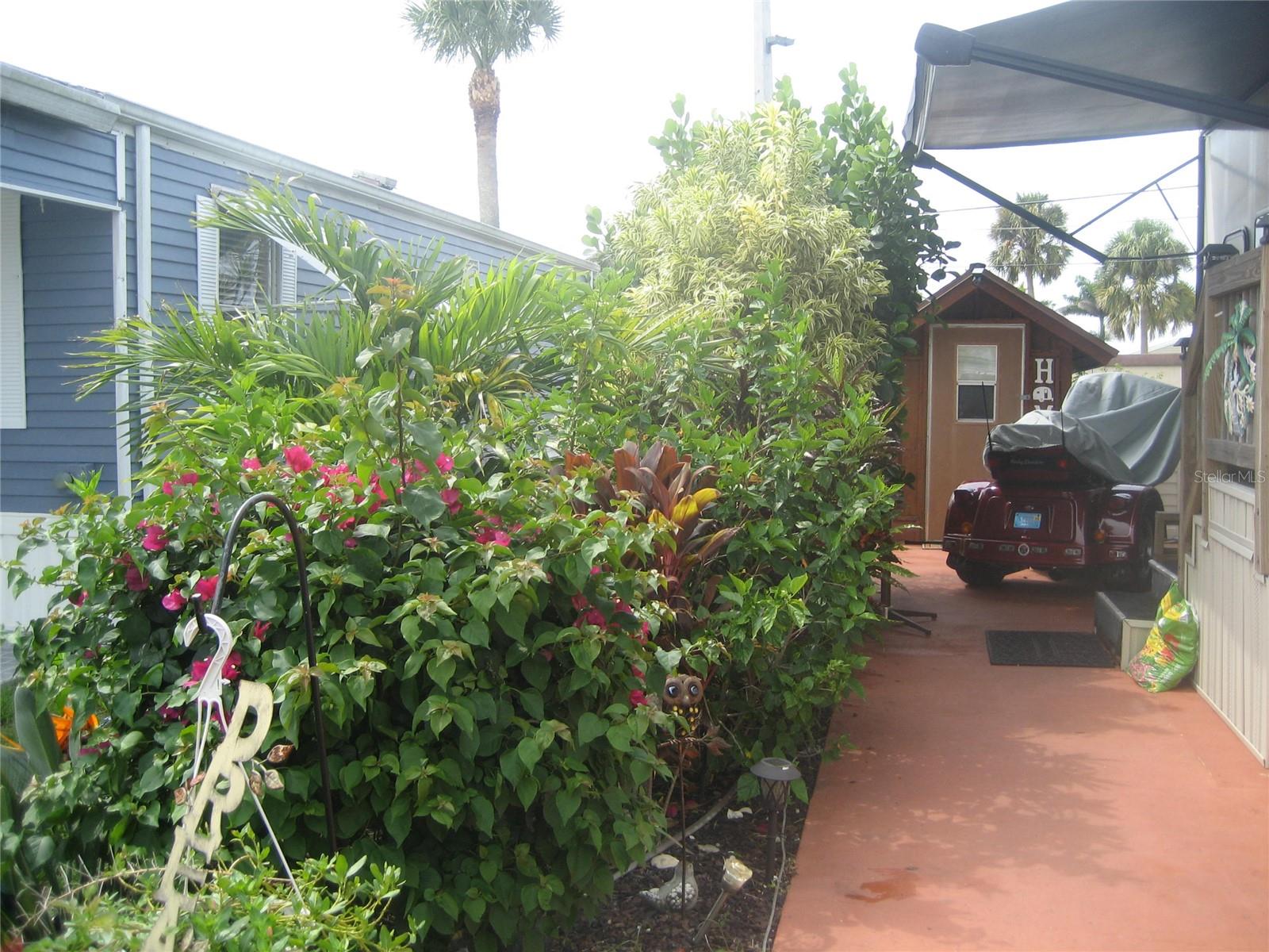~Ancient Oaks~ 55+ Community. Vacant lot w/ shed. Washer & Dryer. Landscaped. RV will be removed. All measurements are approximate- must measure for accurate. Also has another storage shed on site.