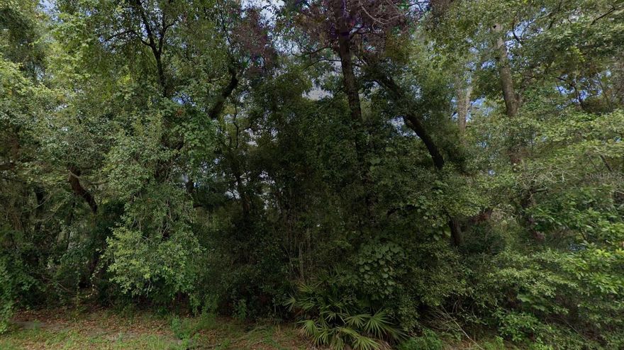 This 0.23-acre residential lot is in Chiefland, FL. This lot offers enough space to build your dream home with a backyard for entertaining and just a short drive from downtown Chiefland.

Zoned for residential build and ready for development.