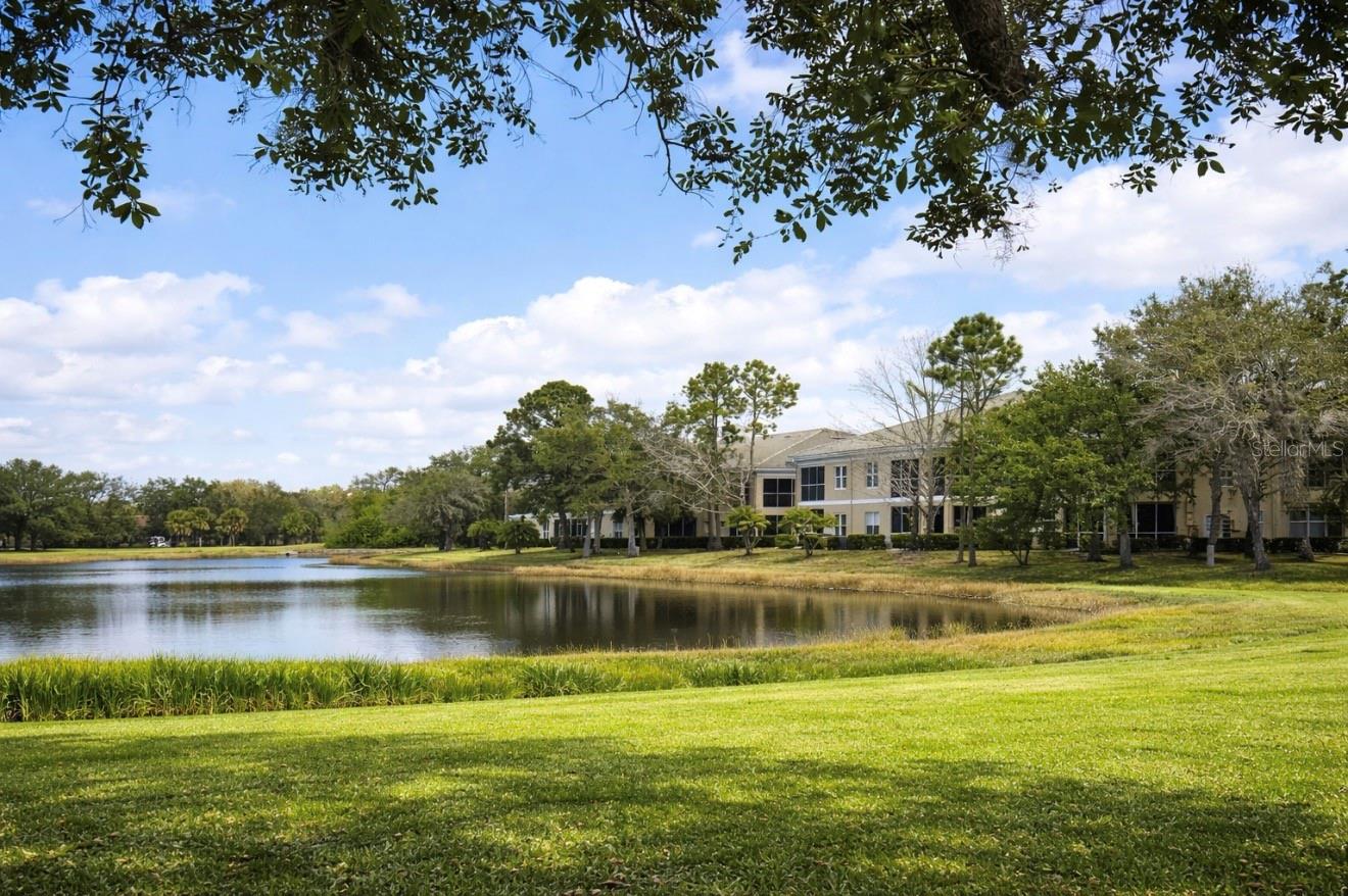 6318 GRAND OAK CIRCLE 201