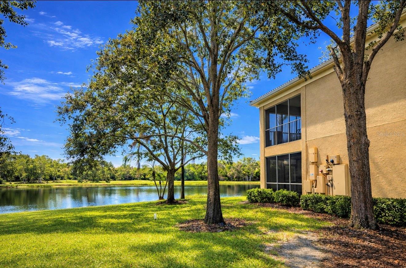 6318 GRAND OAK CIRCLE 201