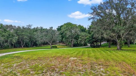 Tiny photo for 1862 S Us 301, Summerville, FL 33585 (MLS # G5100542)