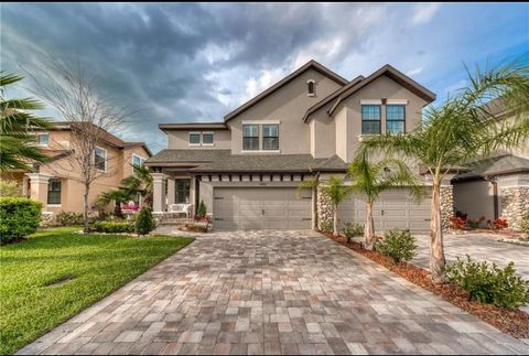 4689 WANDERING WAY WESLEY CHAPEL FL 33544