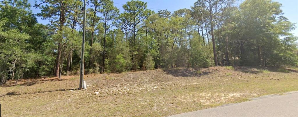 Photo of 0 SW 102nd Street Road, Dunnellon, FL 34431 (MLS # OM722199)