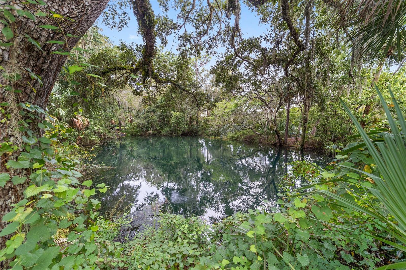 RAINBOW SPGS 04 REP - Land