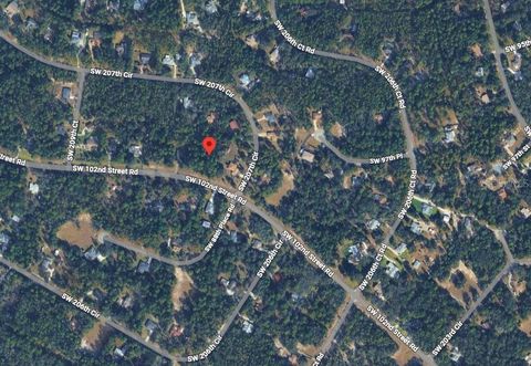 Photo of 0 SW 102nd Street Road, Dunnellon, FL 34431 (MLS # OM722199)