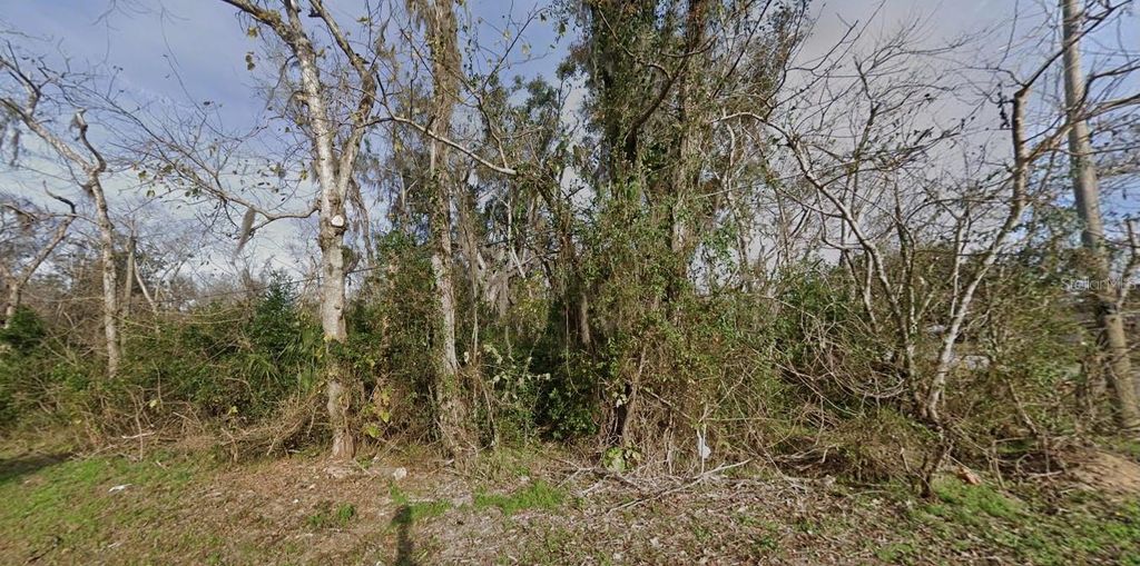 Photo of 1615 SE Lanvale Street, Lake City, FL 32025 (MLS # A4686014)