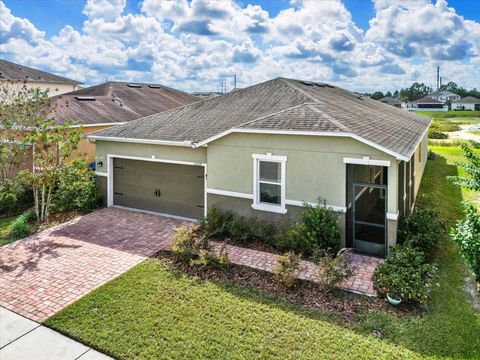 11529 LUCKYGEM DRIVE RIVERVIEW FL 33579