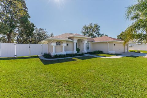 A home in SPRING HILL