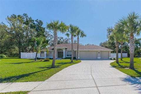 A home in SPRING HILL