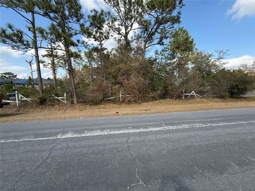 Over 2-Acre Lot! This lot is 142.5 feet wide and 630 feet deep. Now is your chance to build your dream home in this highly sought-after Golf and Equestrian Community. Optional HOA! Conveniently located between 528 (the Beachline) and SR 520. The property is within 30 minutes of Downtown Orlando, I-95, Cocoa Beach, Orlando International Airport.