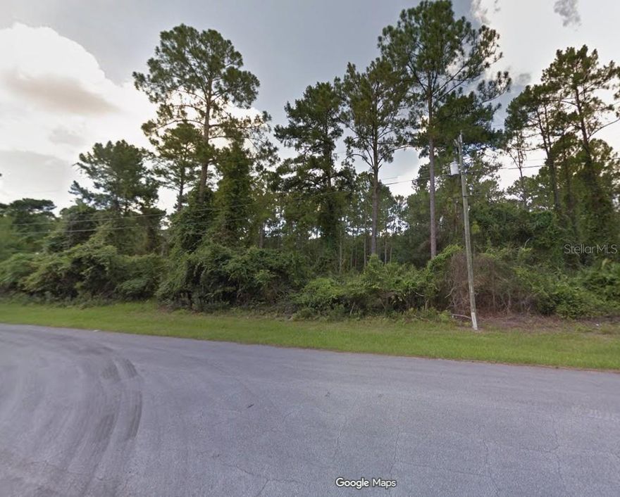Discover the perfect setting for your new home with this pristine lot that backs up to a conservatory for complete privacy. This lot is the ideal blend of location and lifestyle within the heart of Deltona. Perfectly positioned as your gateway to authentic Florida living.