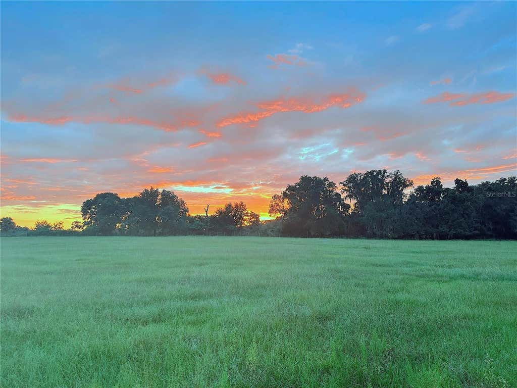 Photo of 10710 Mcintosh Road, Thonotosassa, FL 33592 (MLS # O6414503)