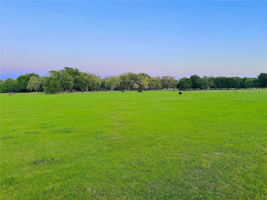 Photo of 10710 Mcintosh Road, Thonotosassa, FL 33592 (MLS # O6414503)