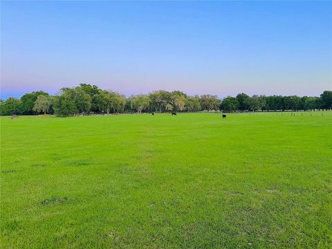Photo of 10710 Mcintosh Road, Thonotosassa, FL 33592 (MLS # O6414503)