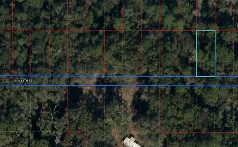Lot 29 NW 58 STREET CHIEFLAND FL 32626