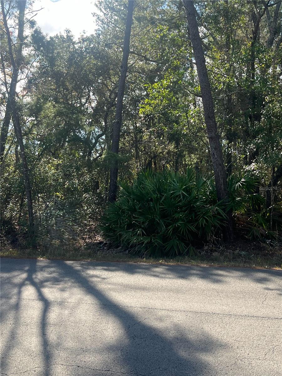 BERKELEY TOWNSITE OF - Land