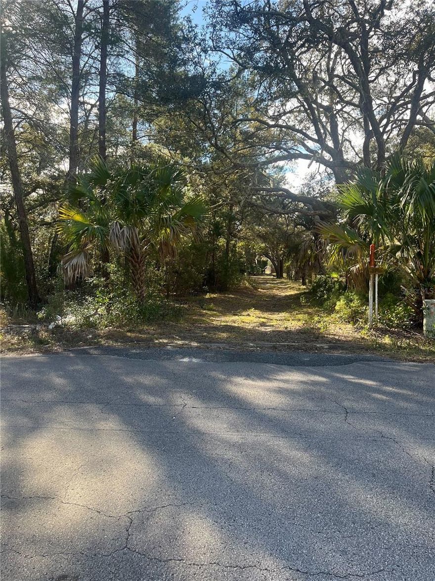 Set within a quiet and naturally scenic area of Weeki Wachee, this 0.28-acre vacant lot presents an exceptional opportunity to design and build a home that embraces both comfort and connection to nature. The property features a spacious footprint with mature trees that enhance privacy and provide a peaceful backdrop, ideal for creating a thoughtfully planned residence with outdoor living areas, a garden, or a relaxing backyard retreat. The surrounding area offers a calm residential feel while still allowing convenient access to main roads, making daily errands, commuting, and leisure activities easily accessible. This setting is well suited for those seeking a balance between a laid-back lifestyle and modern convenience, with plenty of room to bring a personalized vision to life. Nearby attractions include Weeki Wachee Springs State Park, where crystal-clear springs, kayaking, and scenic trails provide endless outdoor enjoyment, Pine Island Beach, offering Gulf-front views, swimming, and memorable sunsets, and the commercial corridor along U.S. Route 19, which provides access to shopping, dining, and essential services, making this property an appealing choice for building a home that blends tranquility with everyday accessibility.